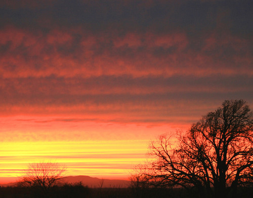 Red Oak Sunset - Saint Albans, VT