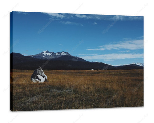 Stretched Canvas Print - Custom Item 125516