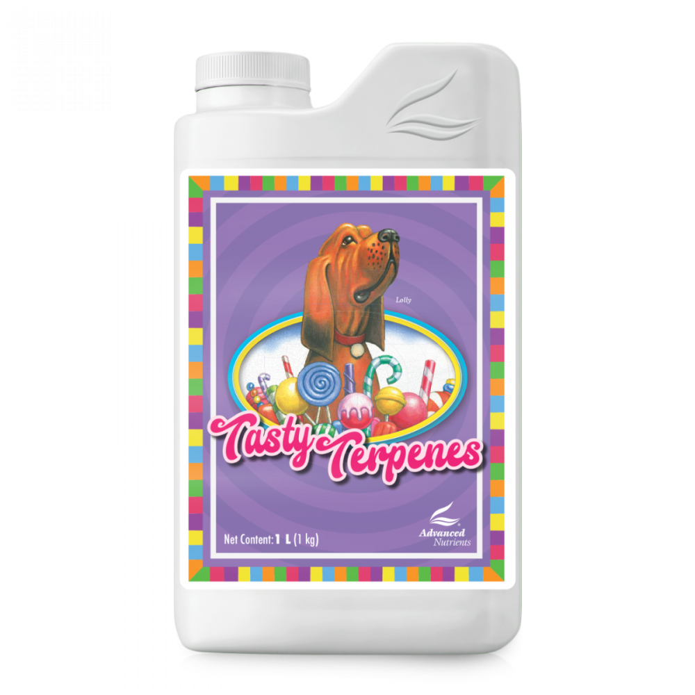 Nirvana - Thumbnail 2