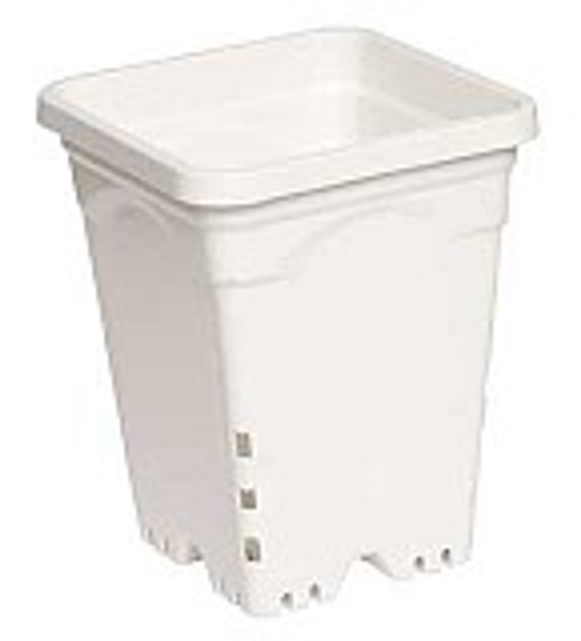 Square White Pot - 12"