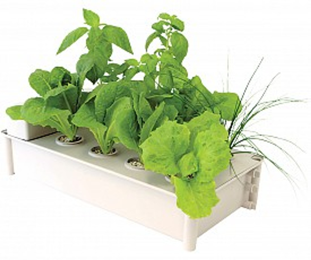 Salad Box Hydroponic Salad Garden Kit New England Hydroponics