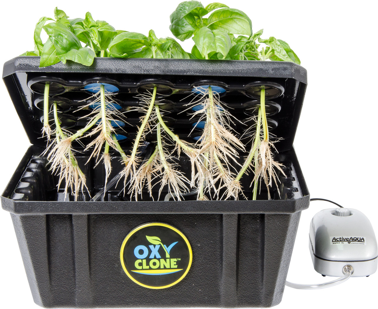 Можно ли сделать клон. Гидропонный аппарат Terra Planter. Гидропонная система AQUAPOT XL 4. AQUAPOTS аэропоника. Аэропоника Amazon.