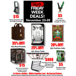 Black Friday Week is ON!