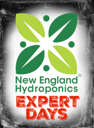 Mark Your Calendar - 4.20 Party In Auburn! Mark Your Calendar - 4.20 Party In Auburn!