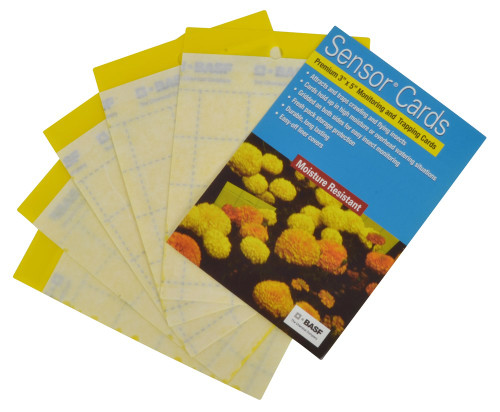 Sensor Cards Yellow Sticky Monitoring and Trapping Cards 50pk