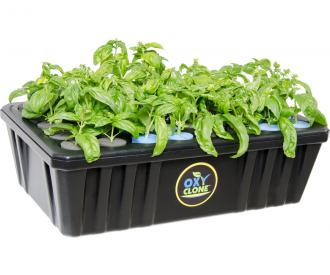 oxyCLONE PRO Series 40 Site Cloning System