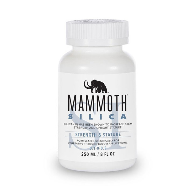 Mammoth Silica 250 mL