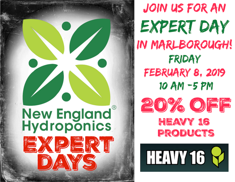 February 8 Expert Day in Marlborough Featuring Heavy 16