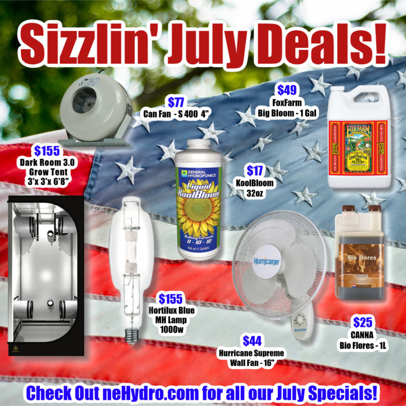 Our July Deals Are Up!