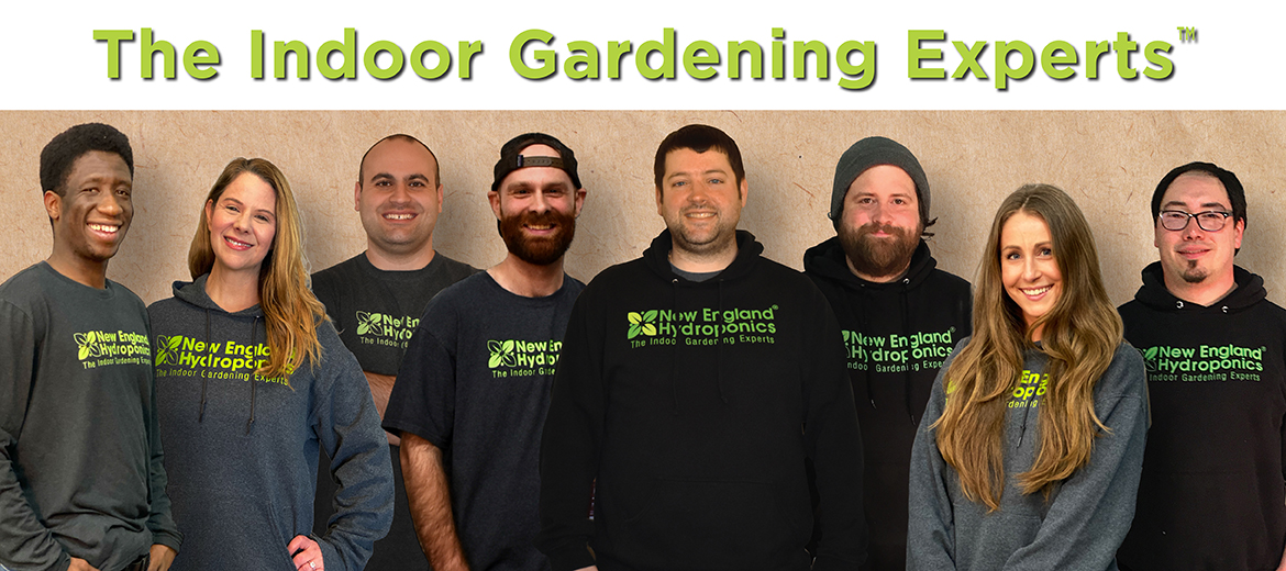 Staff Picks New England Hydroponics