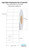 LX4000 1.5" x 0.75"  2UP Matte BOPP Labels 6000/Roll - Perforations - 12 Rolls/Carton
