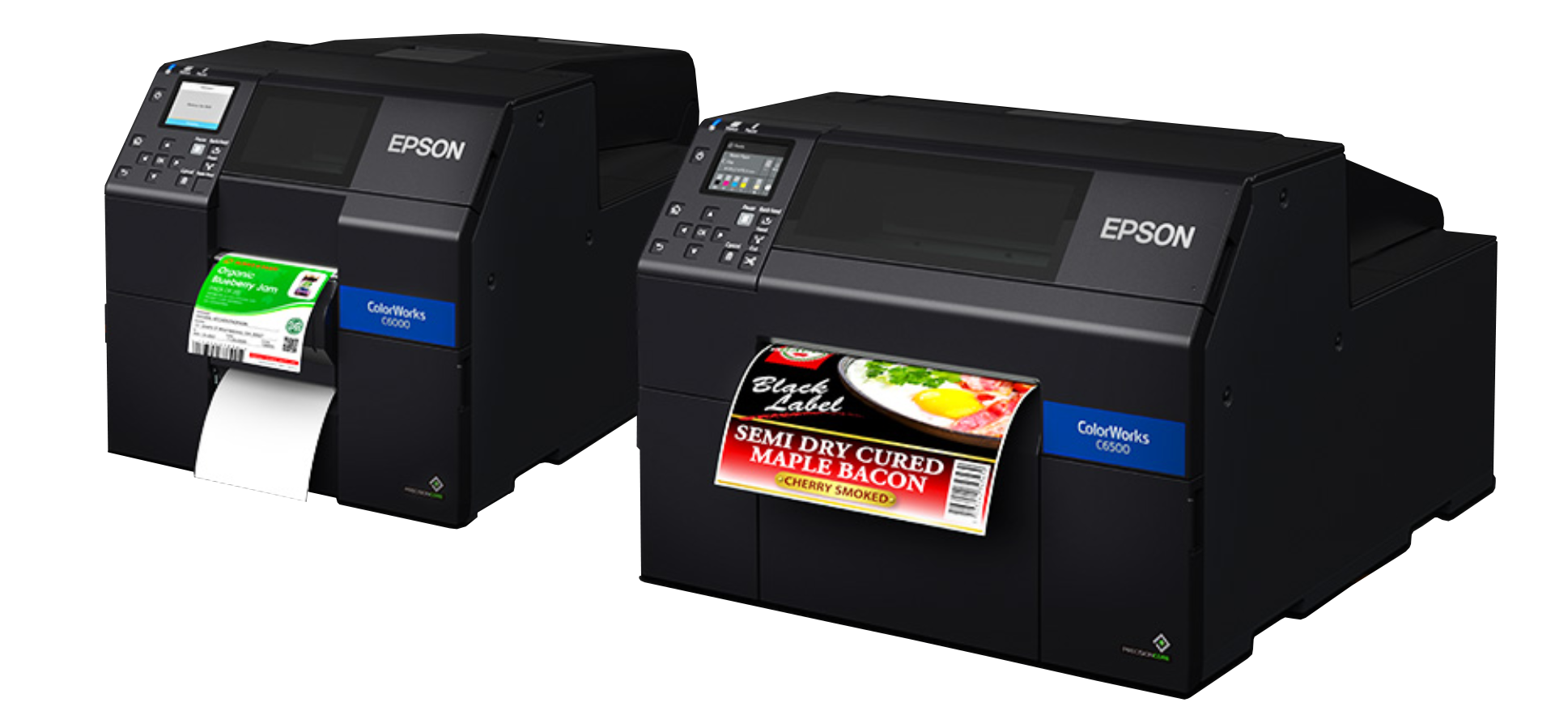 Understanding the Ink Differences in the Afinia L701 and Epson