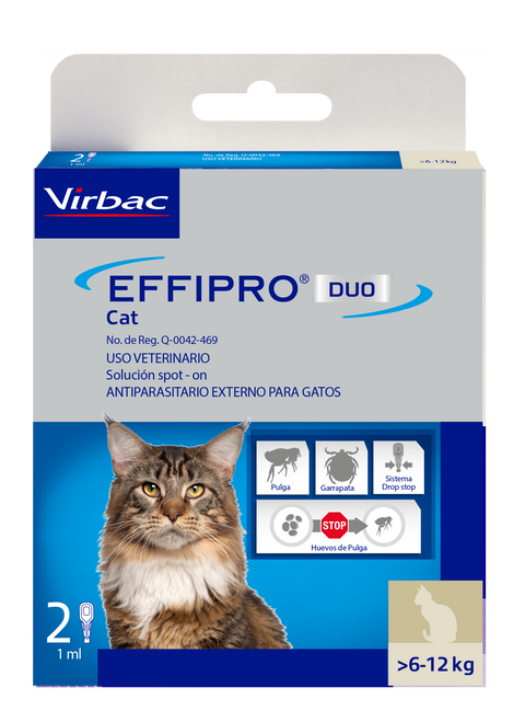 EFFIPRO DUO CAT/6-12 KG