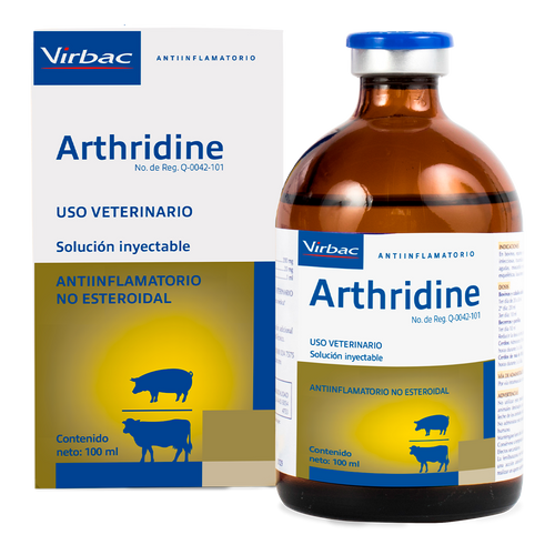 ARTHRIDINE/100ML