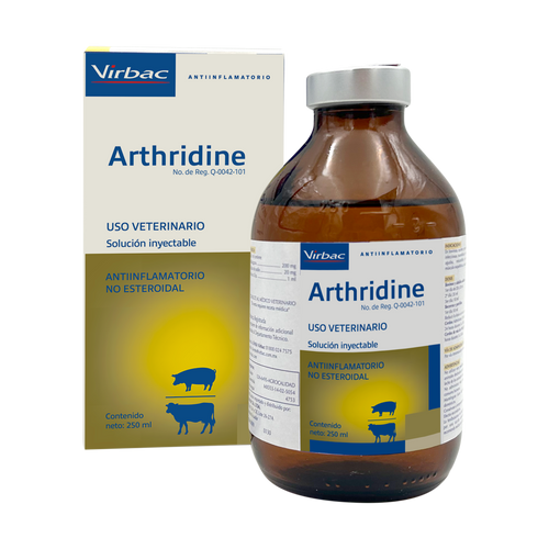ARTHRIDINE/250ML