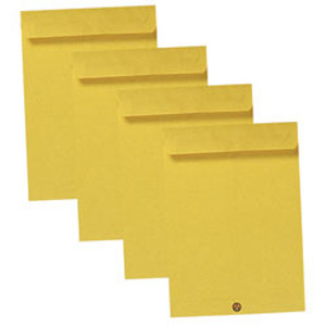 TUDOR SEED POCKET ENVELOPES No.8 150x100mm Moist Seal Gold 142889 (Pack of 500)