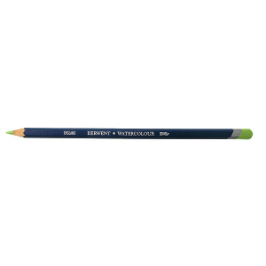 DERWENT WATERCOLOUR PENCIL MAY GREEN 48 (Box of 6)