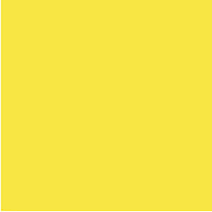 COLOURFUL DAYS COLOURBOARD 200GSM PROJECT SIZE 510 X 640MM PACK OF 20 LEMON
