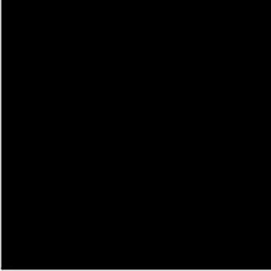 COLOURFUL DAYS COLOURBOARD 500GSM PROJECT SIZE 510 X 640MM PACK OF 10 BLACK (Pack of 10)