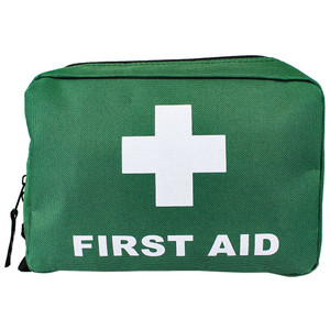 AEROBAG Small Green First Aid Bag 21 x 15 x 7.5cm, Each