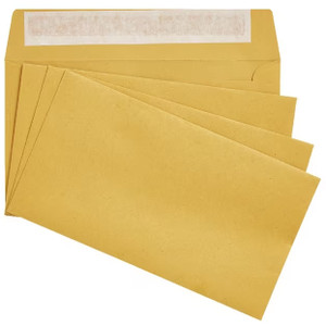 PAY ENVELOPES 90 X 165 100'S UNPRINTED REX-12360