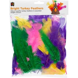EDUCATIONAL COLOURS TURKEY FEATHERS BRIGHTS ASSORTED 60G