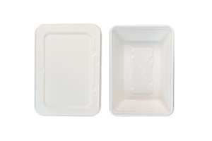 500ml Sugar Cane Containers With Sugar Cane Lids, Pack of 4