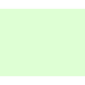 Quill Coloured Board 210gsm 510mm x 635mm - Pastel Green