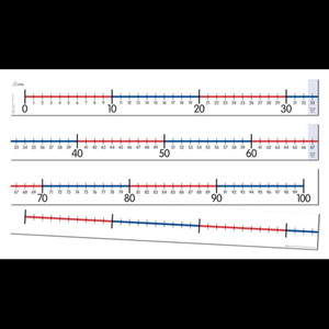 Number Line Strip 0-100
