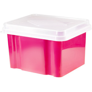 ITALPLAST 32 Litre Storage / File Box - Watermelon Base / Clear Lid, Each