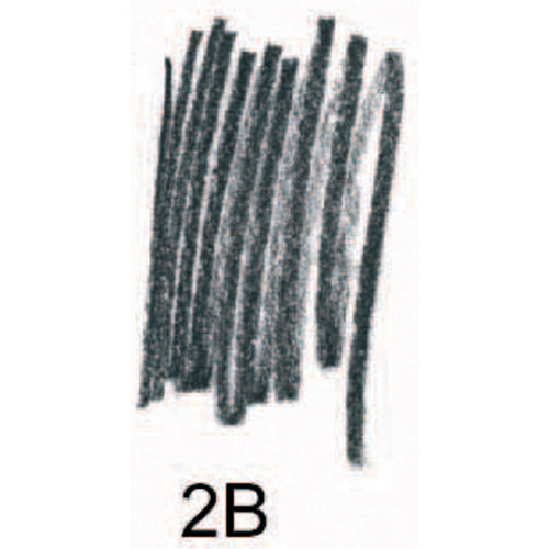 Staedtler 250 Mars Micro Carbon Mechanical Pencil Leads 0.5mm - 2B, Tube of 12
