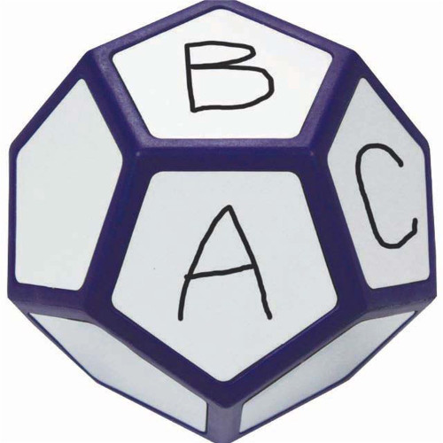 TFC Write On/Off Large Dice 12 Sided