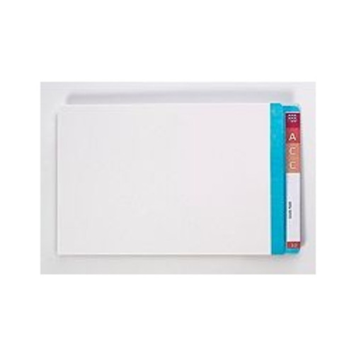 AVERY LATERAL FILES WITH MYLAR REINFORCED TABS Foolscap Light Blue Clear Mylar, Bx100
