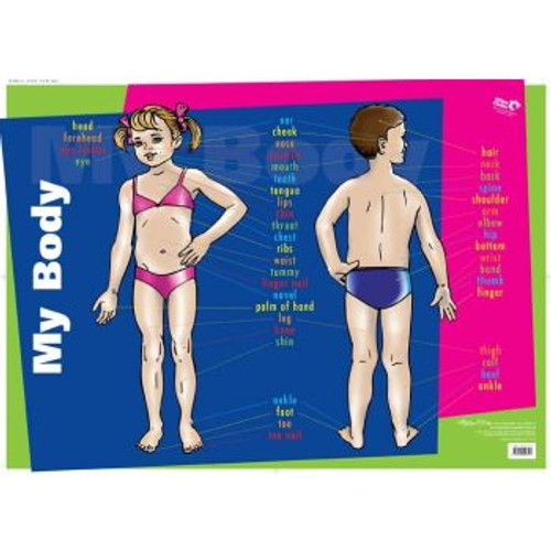 MY BODY WALL CHART *** While Stocks Last ***