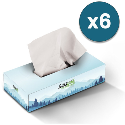 Gusspak Premium Facial Tissues 2 Ply 100 Sheets Pack of 6