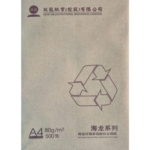 Nine Dragons 100% Recycled Paper A4 80gsm White 500 Sheets - 5 Reams (1 Carton)