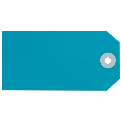 Blue Shipping Tags, Size 4, 54mm x 108mm Box of 1000