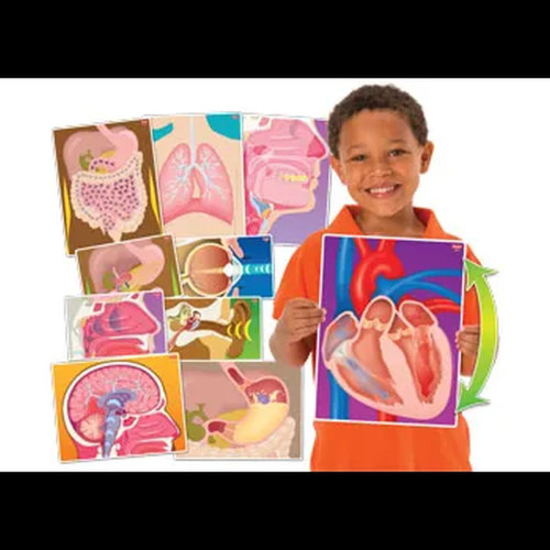 My Body In Action - Set of 10 Cards