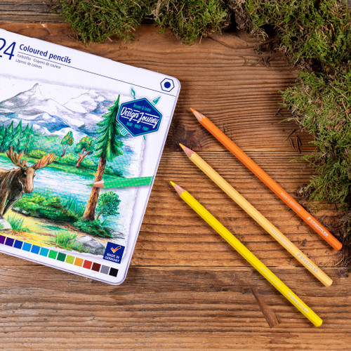Staedtler 146 Coloured Pencil, Tin of 24 Assorted Colours