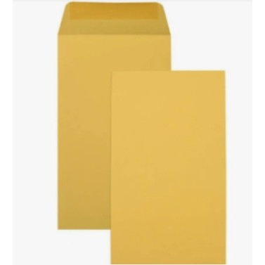 Kraft Seed Envelope P6 135mm X 80mm, Box of 1000