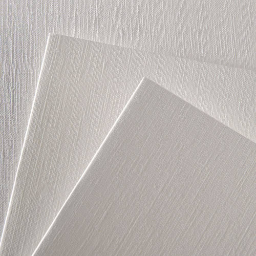 Canson Figueras 290 Sheet Canvas Grain 50 x 65 cm