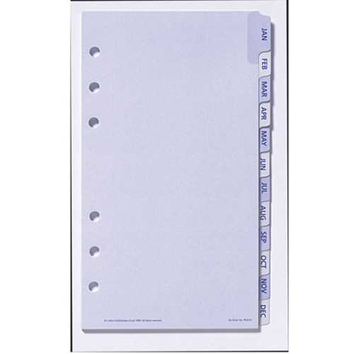 DEBDEN DAYPLANNER PERSONAL EDITION REFILLS - 6 RING Jan-Dec Tabs