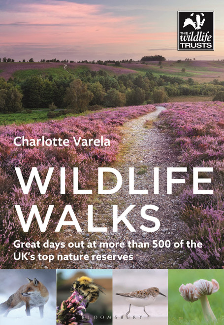 WILDLIFE WALKS (WILDLIFE TRUSTS)