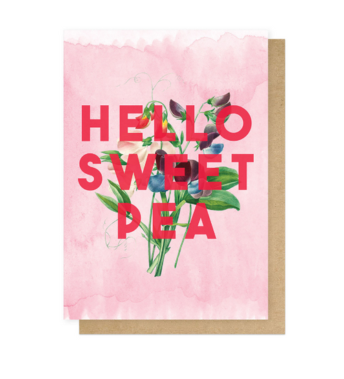 Hello Sweet Pea Greetings Card - East End Prints