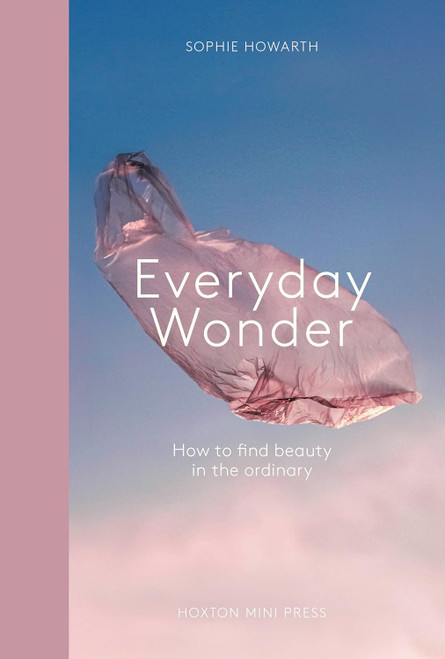 EVERYDAY WONDER (HB)