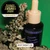 Neighbourhood Botanicals - Dream Dream Dream Night Oil, 30ml