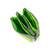 Roka Wallet - Carnaby Lime - Recycled Taslon - Small