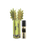 FICO D'INDIA PERFUME ROLL ON 10ML - ORTIGIA SICILIA