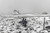 BREITLING BOOK OF SURFING (HB)