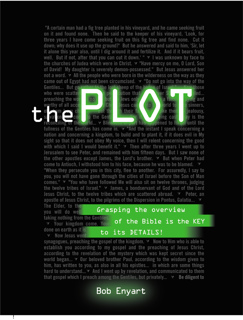 Bob Enyart's life's work, The Plot: The overview of the Bible is the key to its details!